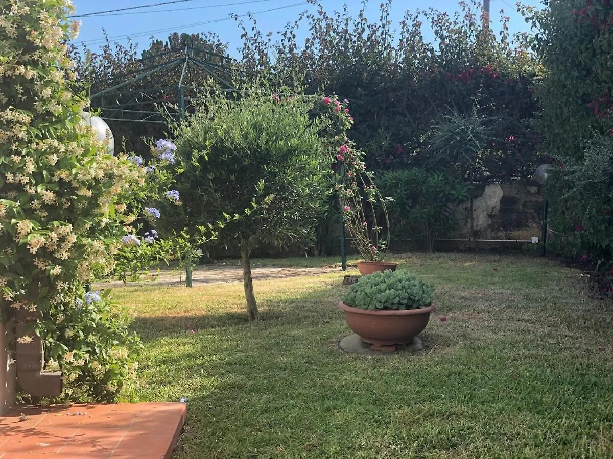 Le Tre Palme Villa Fontane Bianche Italy