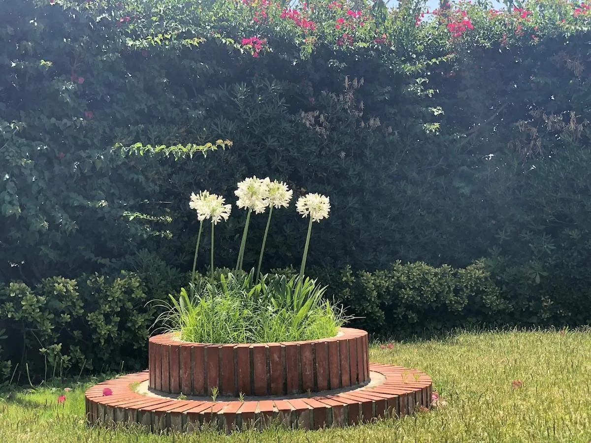 Holiday home Le Tre Palme Villa Fontane Bianche